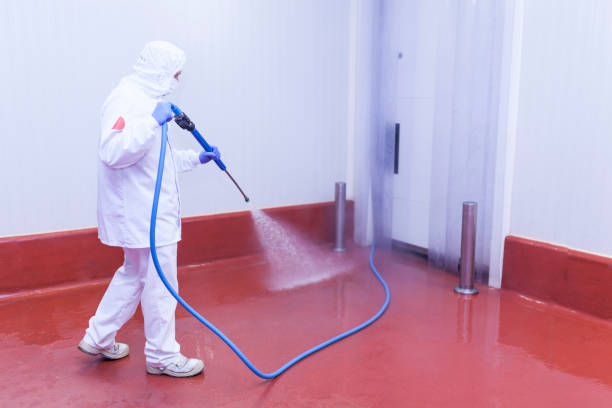 Best Soft Washing  in Somerville, NJ